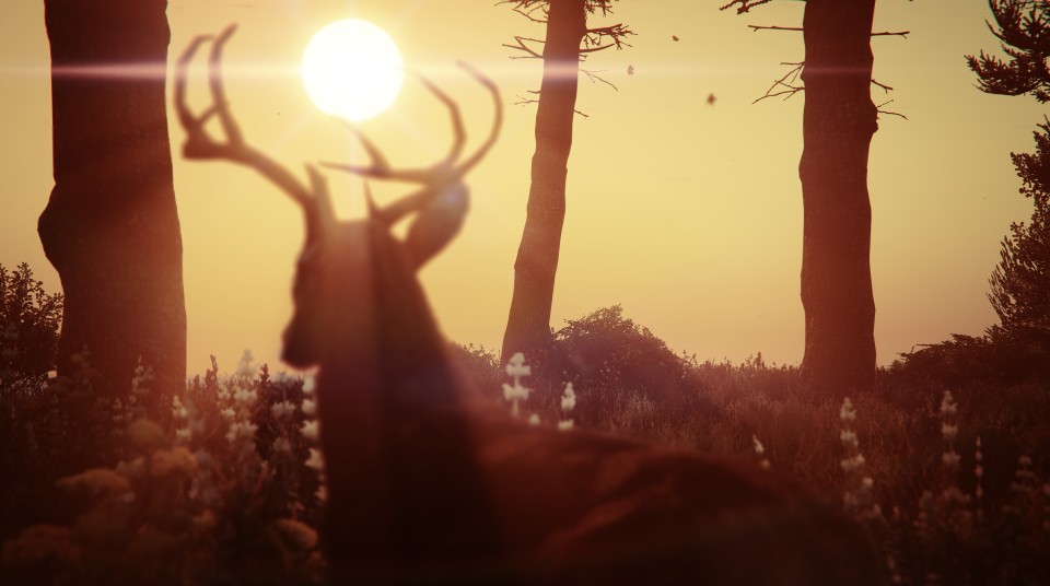 GTA V içinde çekilmiş fotoğraf karelerinden bir örnek.